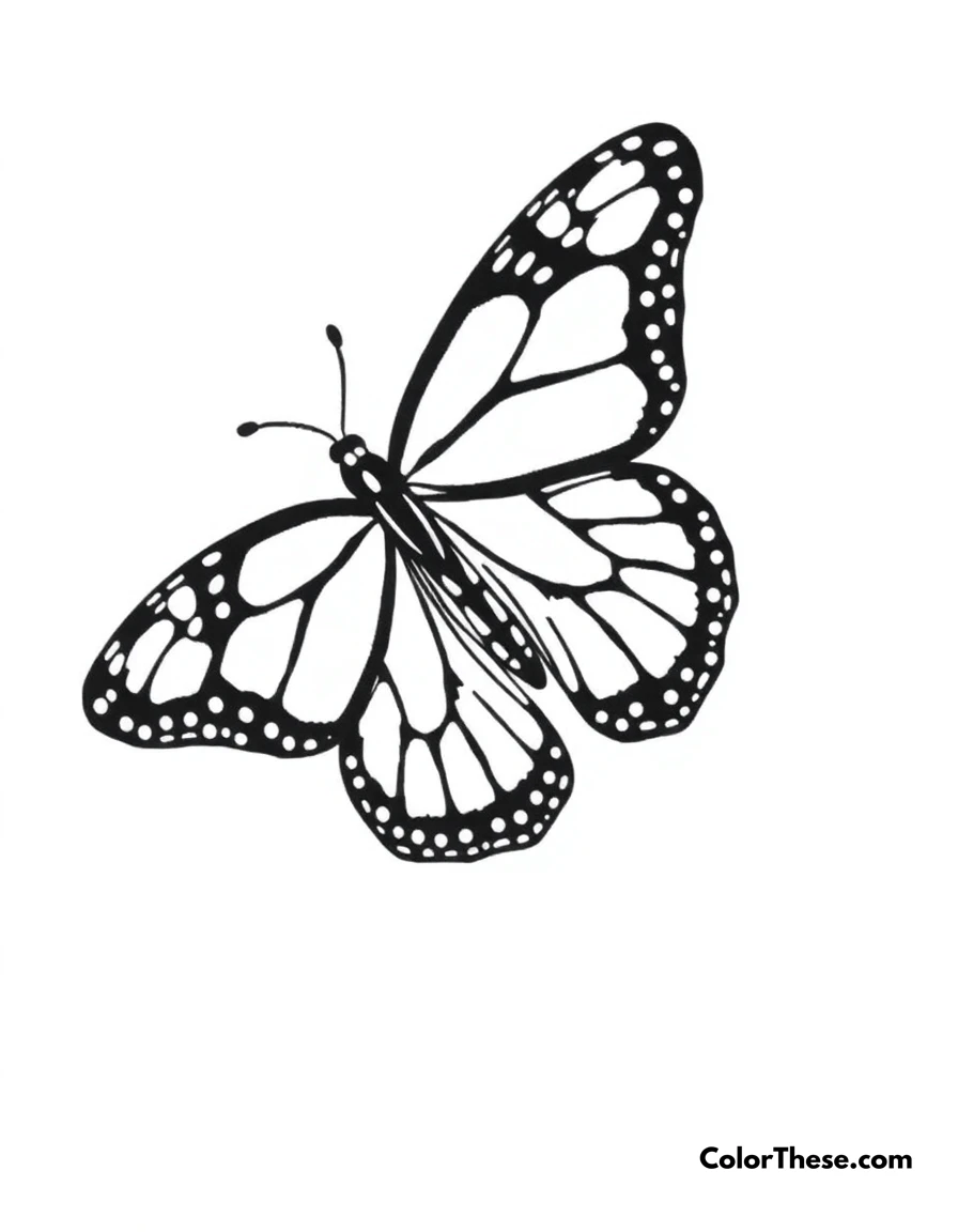 Free printable butterfly monarch beauty coloring page for kids and adults. A detailed Monarch butterfly with its distinctive orange and black pattern wings.