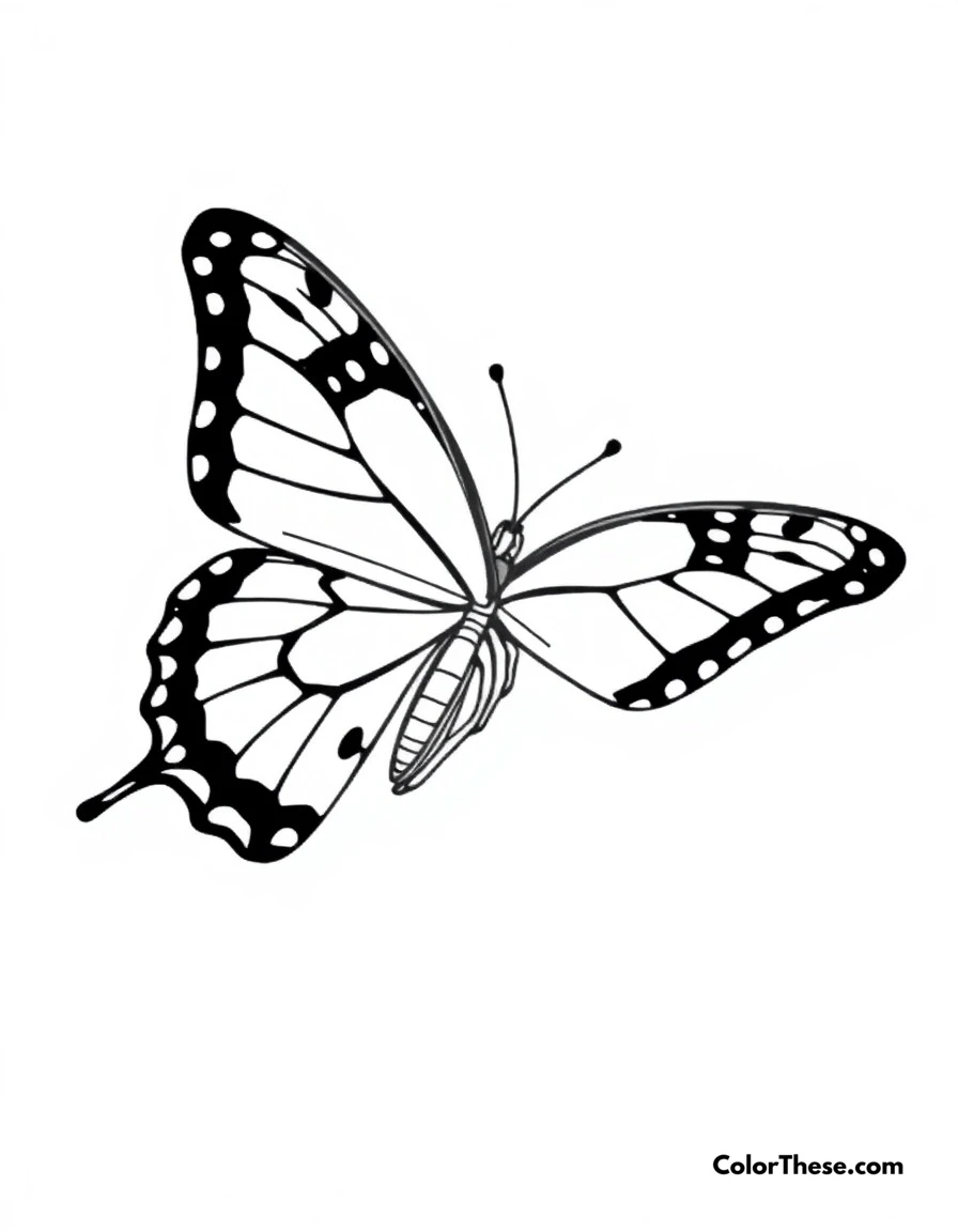 Free printable butterfly swallowtail dance coloring page for kids and adults. A graceful Swallowtail butterfly showing off its distinctive tail-like wing extensions.