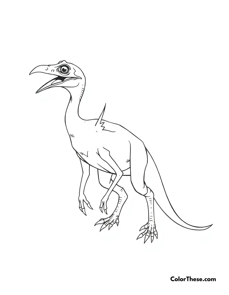 Free printable feathered archaeopteryx coloring page for kids and adults. An Archaeopteryx showing its early bird-like features.