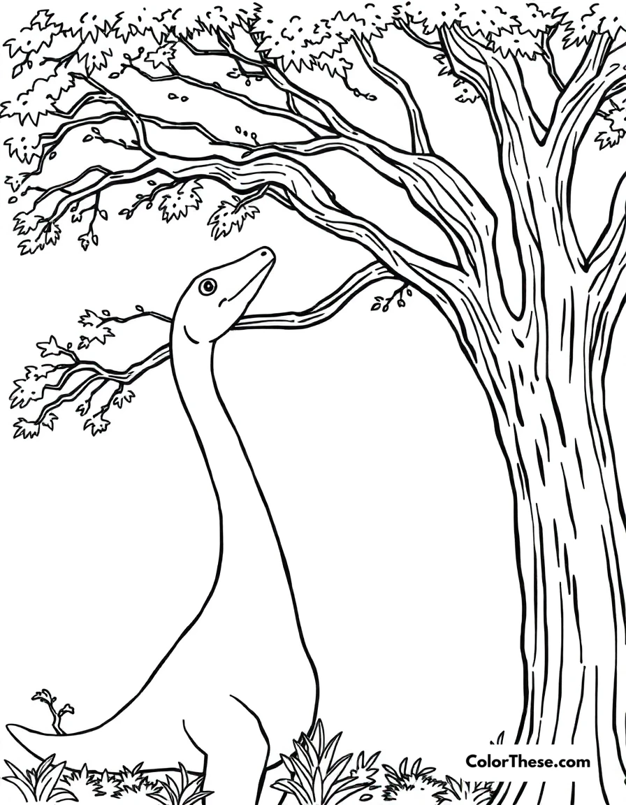 Free printable gentle brachiosaurus coloring page for kids and adults. A peaceful Brachiosaurus reaching for tall tree branches.