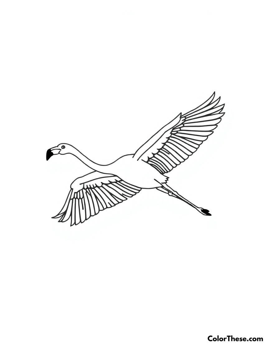 Free printable flamingo in flight coloring page for kids and adults. A flamingo soaring through the sky with its wings spread wide.