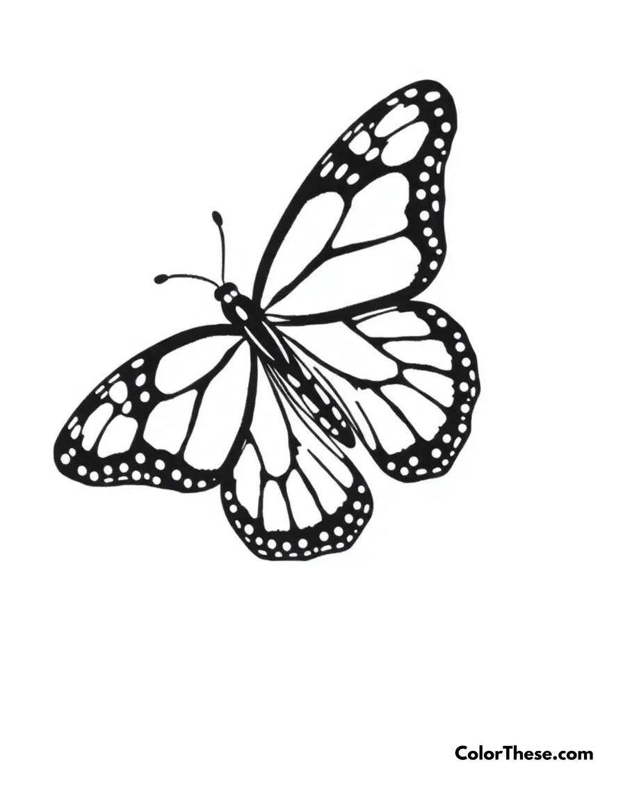 Butterfly Monarch Beauty coloring page