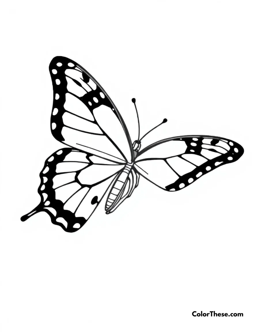 Butterfly Swallowtail Dance coloring page