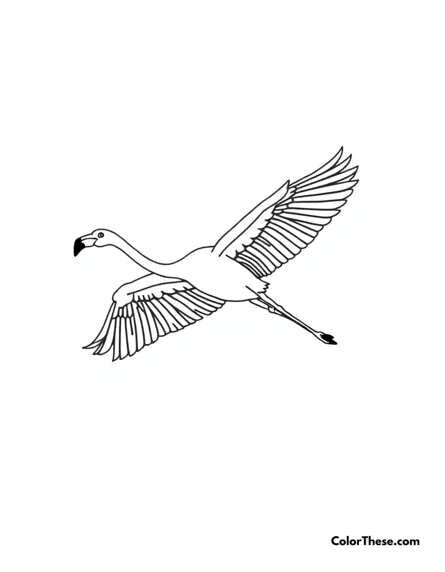 Flamingo in Flight coloring page