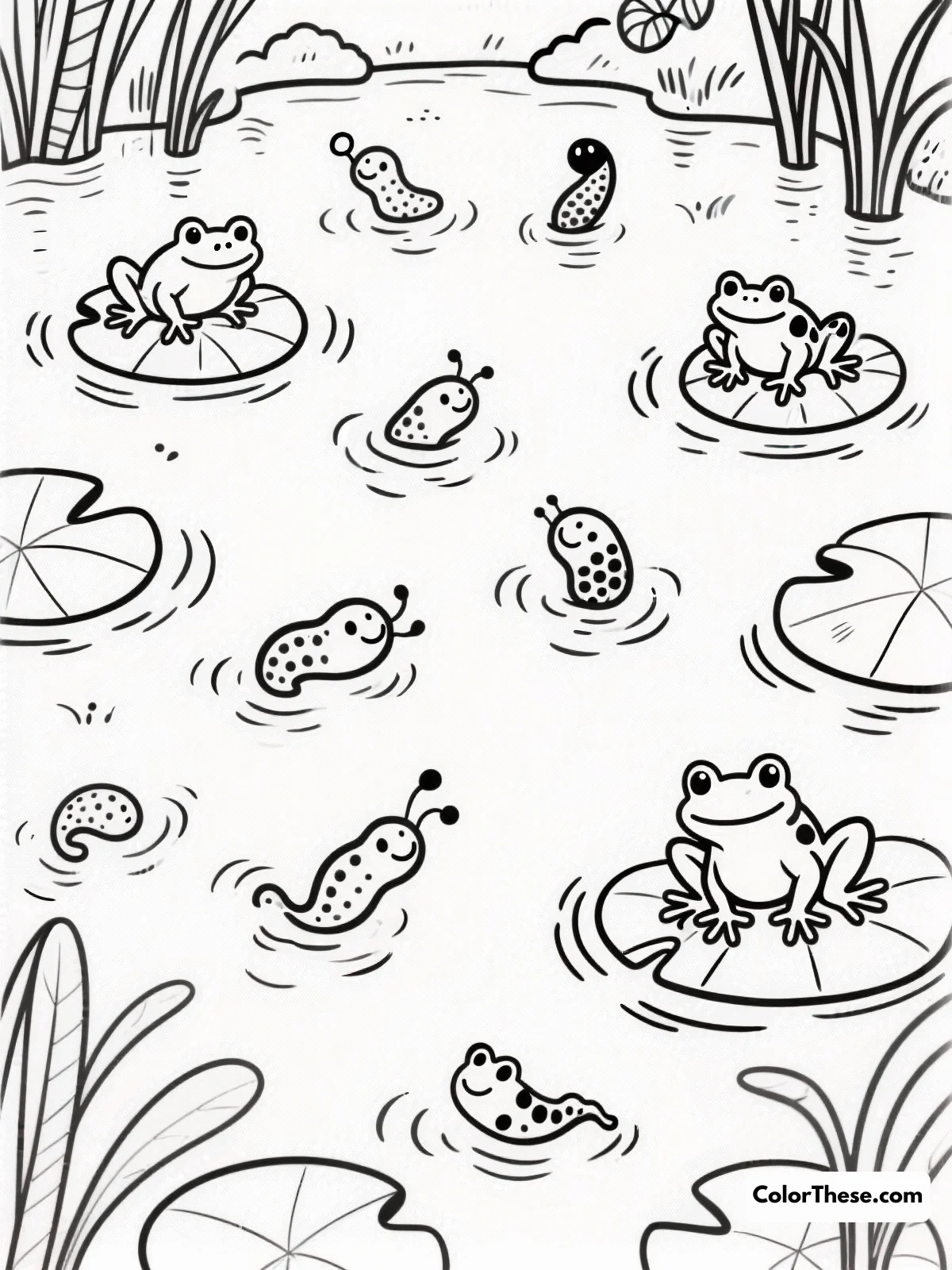 Free printable playful tadpoles and froglets coloring page for kids and adults. Explore nature with our Playful Tadpoles and Froglets coloring page! Download, print, and color this free printable PDF—perfect for curious kids and classrooms.