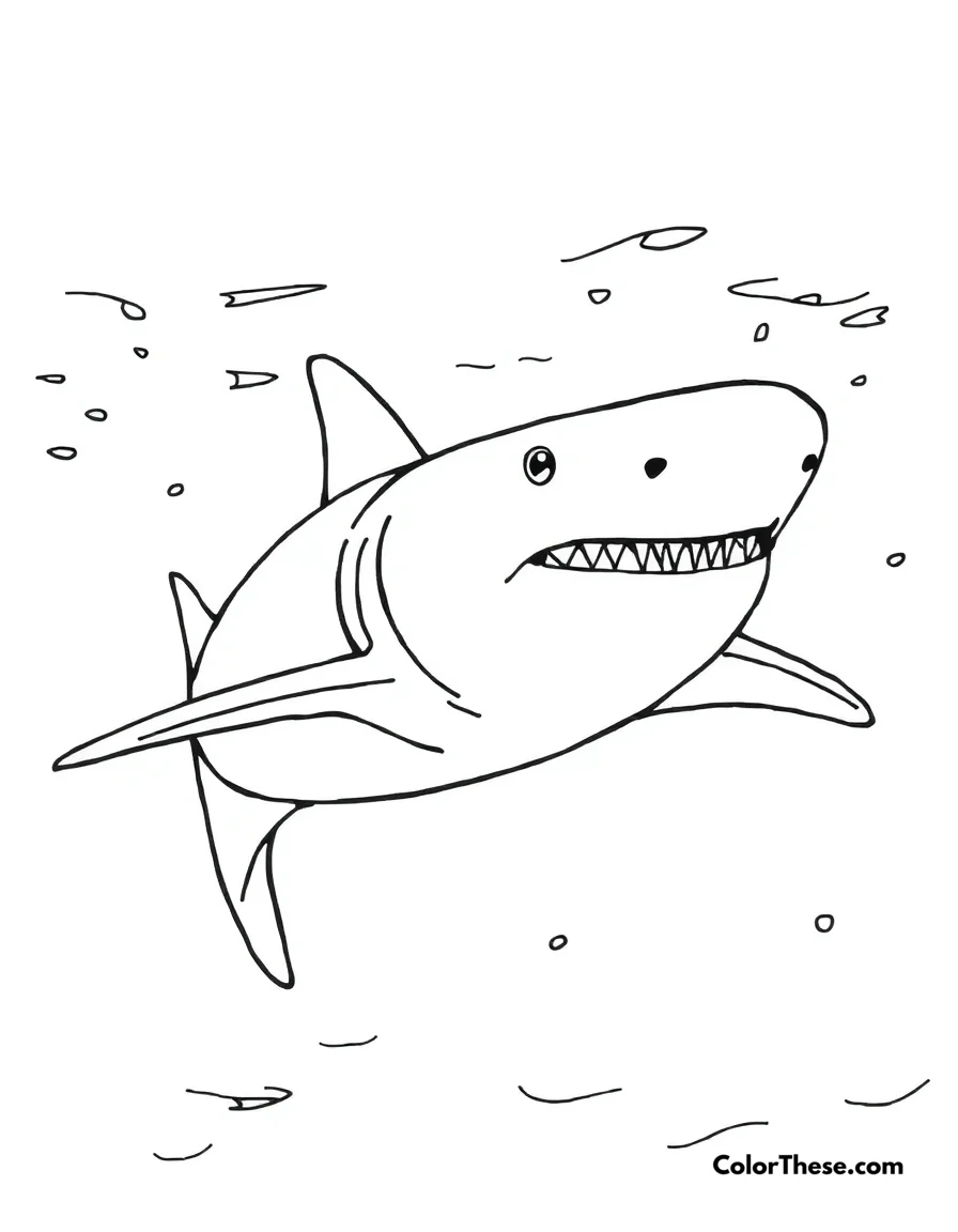 Free printable bull shark coloring page for kids and adults. Dive into creativity with our Bull Shark coloring page! Download this free printable PDF for kids and adults to enjoy coloring a powerful ocean predator.